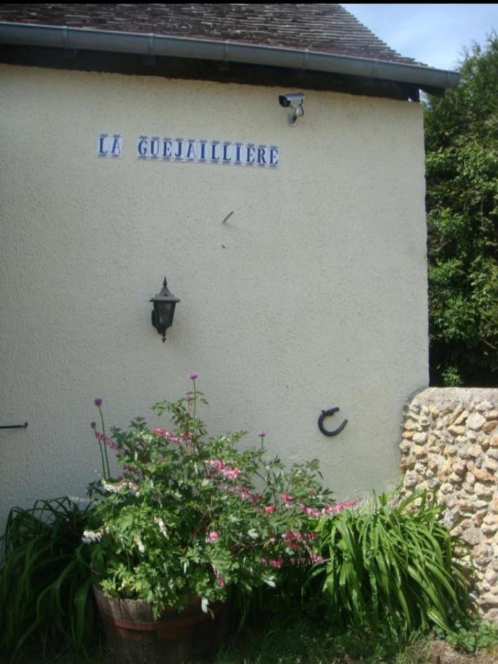 Beaumont-Pied-de-Boeuf  Chambres La Guejailliere الغرفة الصورة